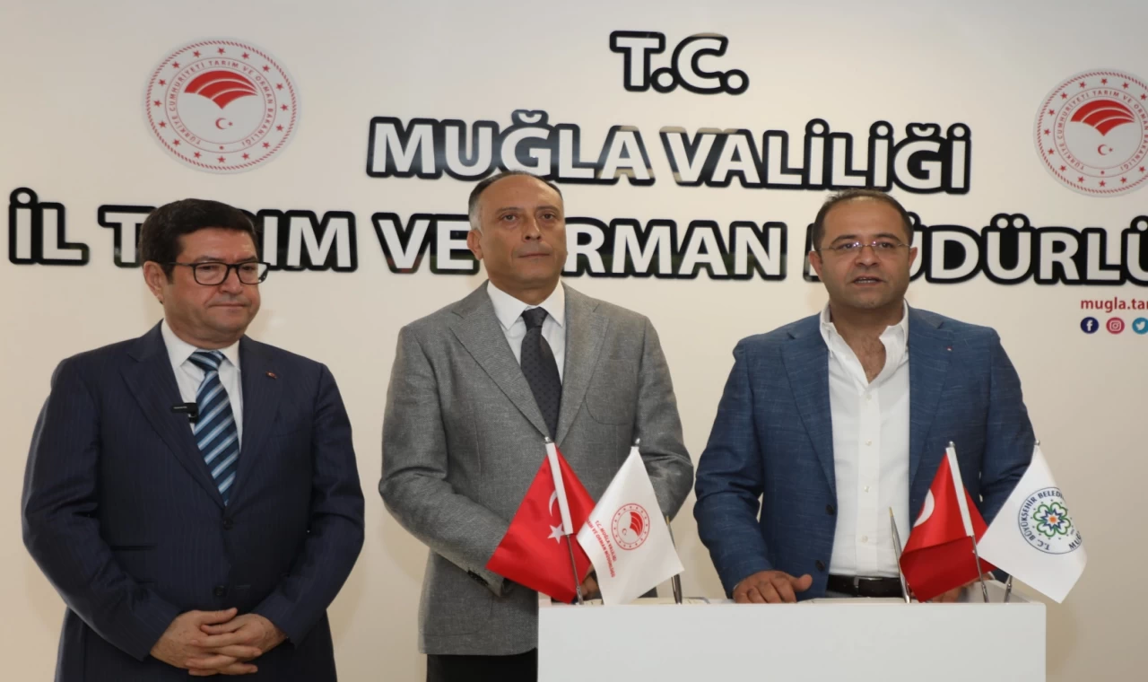 Muğla’dan 10 bin aşı ile hayvancılığa destek