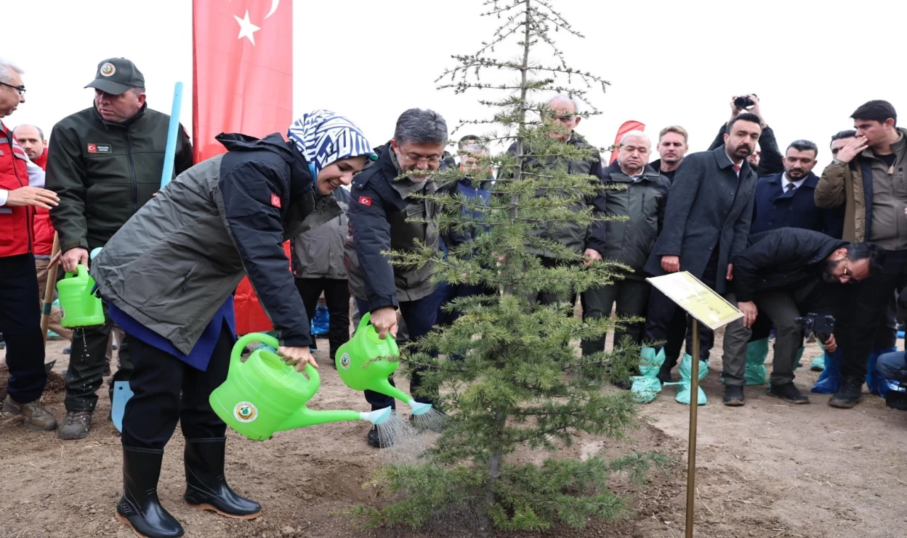 Geleceğe nefes fidanlar ’Gazze Hatıra Ormanı’nı yeşertecek