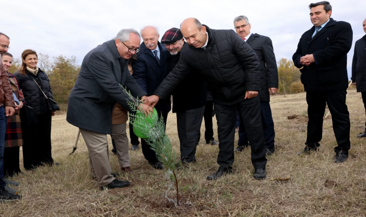 TÜB milli ağaçlandırma günü’nde fidan dikti