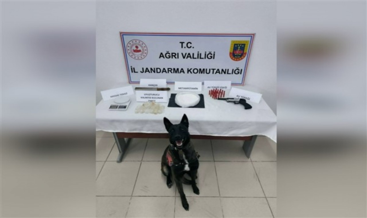 Ağrı’da asayiş uygulaması: 1 gözaltı