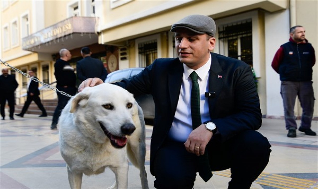 Başkan Eşki, Paşa isimli köpeği sahiplendi