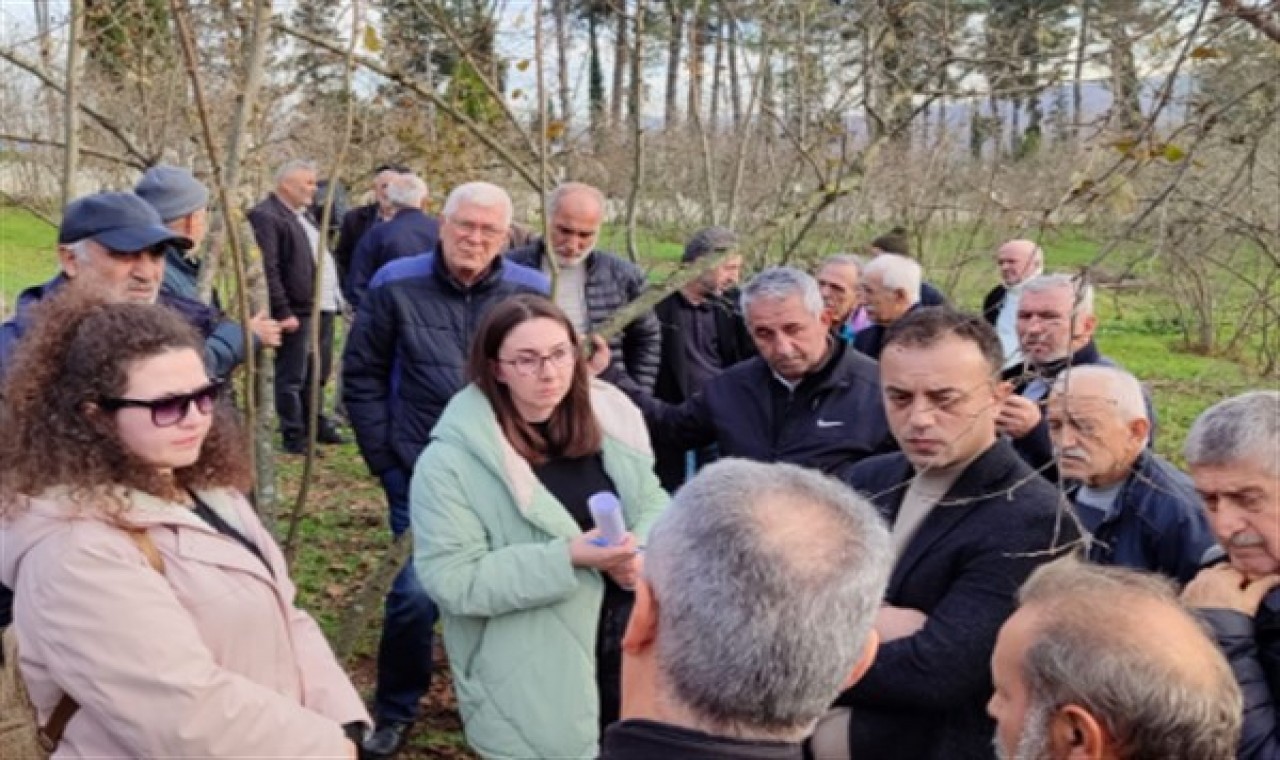 Fındık budama etkinliği yapıldı