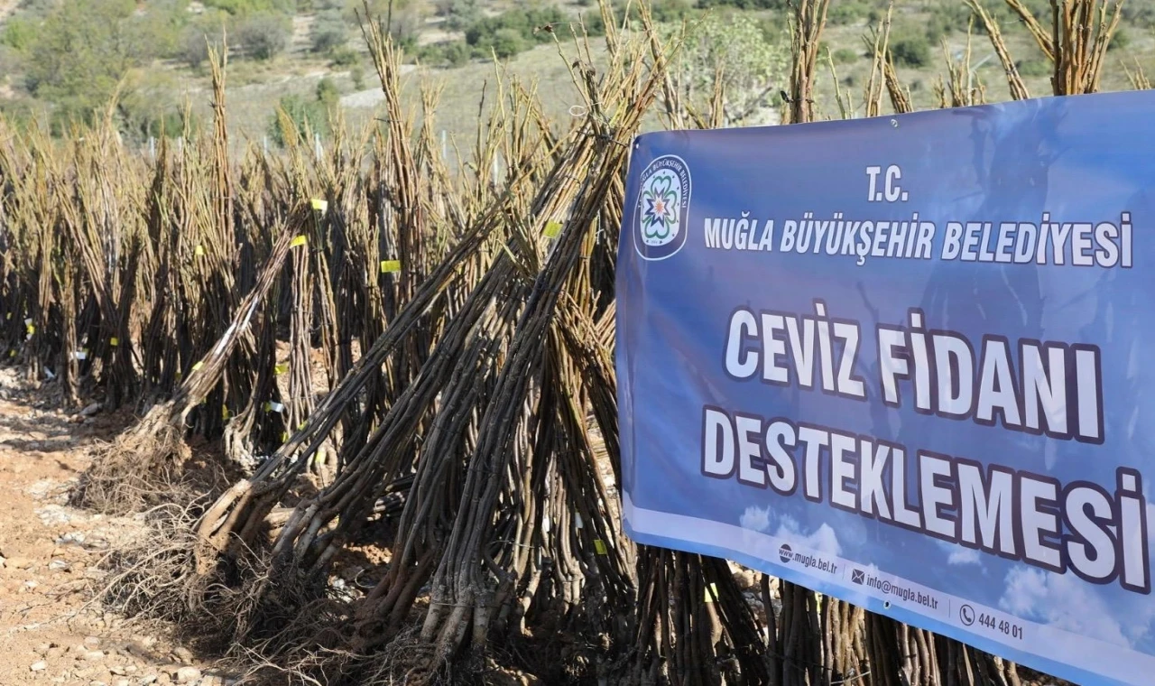 Muğla ’her kapıda bir fidan’la toprağa sahip çıkıyor