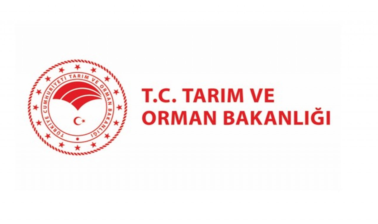 Tarım ve Orman Bakanlığınca kahverengi kokarca zararlısına yönelik mücadele sürüyor