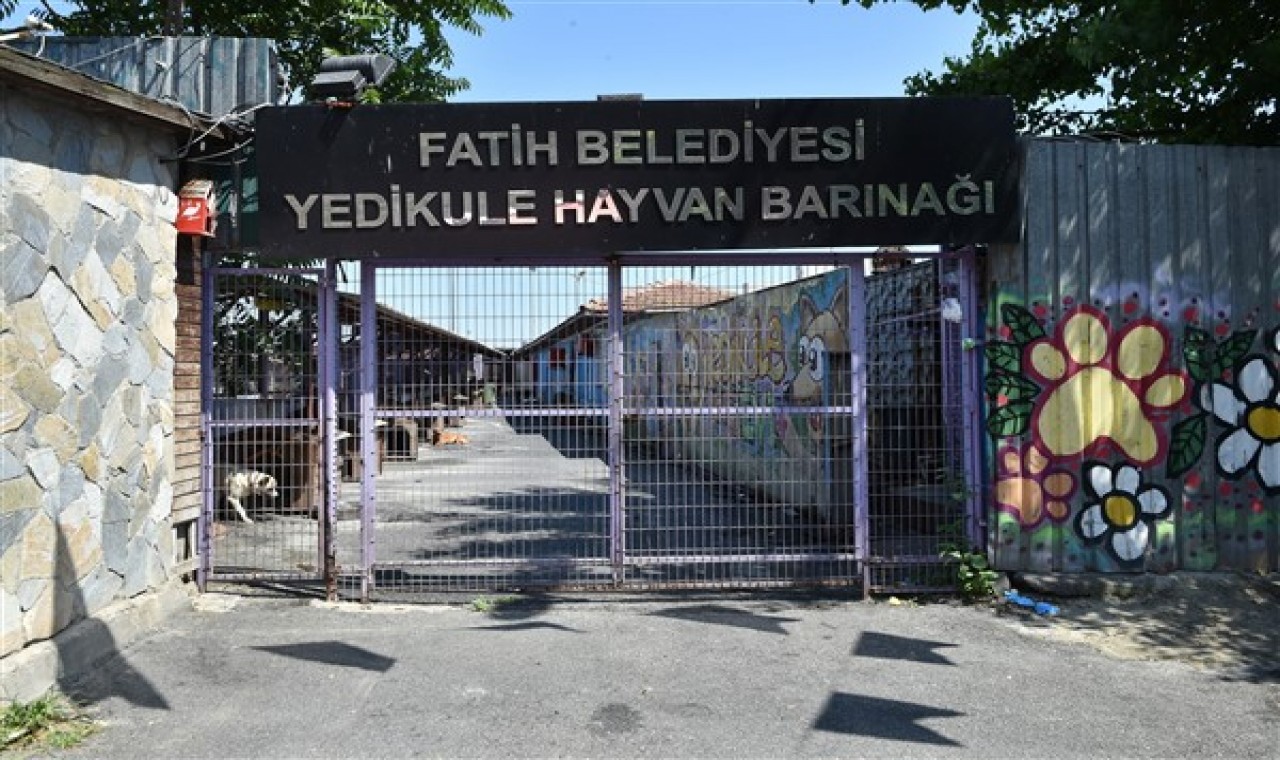 Yedikule Hayvan Barınağı yeniden inşa ediliyor