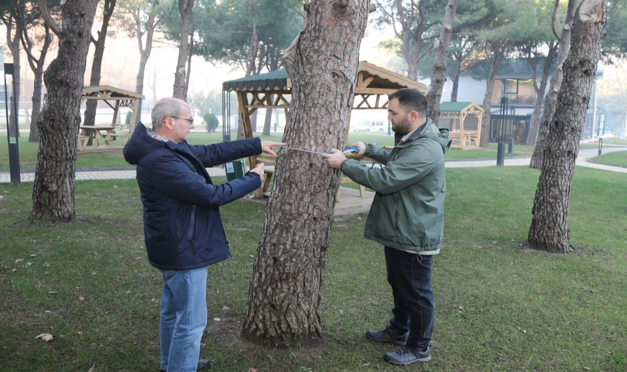 BTÜ’de orman envanterine katkı sağlayacak proje geliştiriliyor