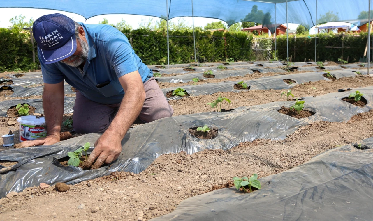 Konya’da başvurular 15 Ocak’ta başlıyor