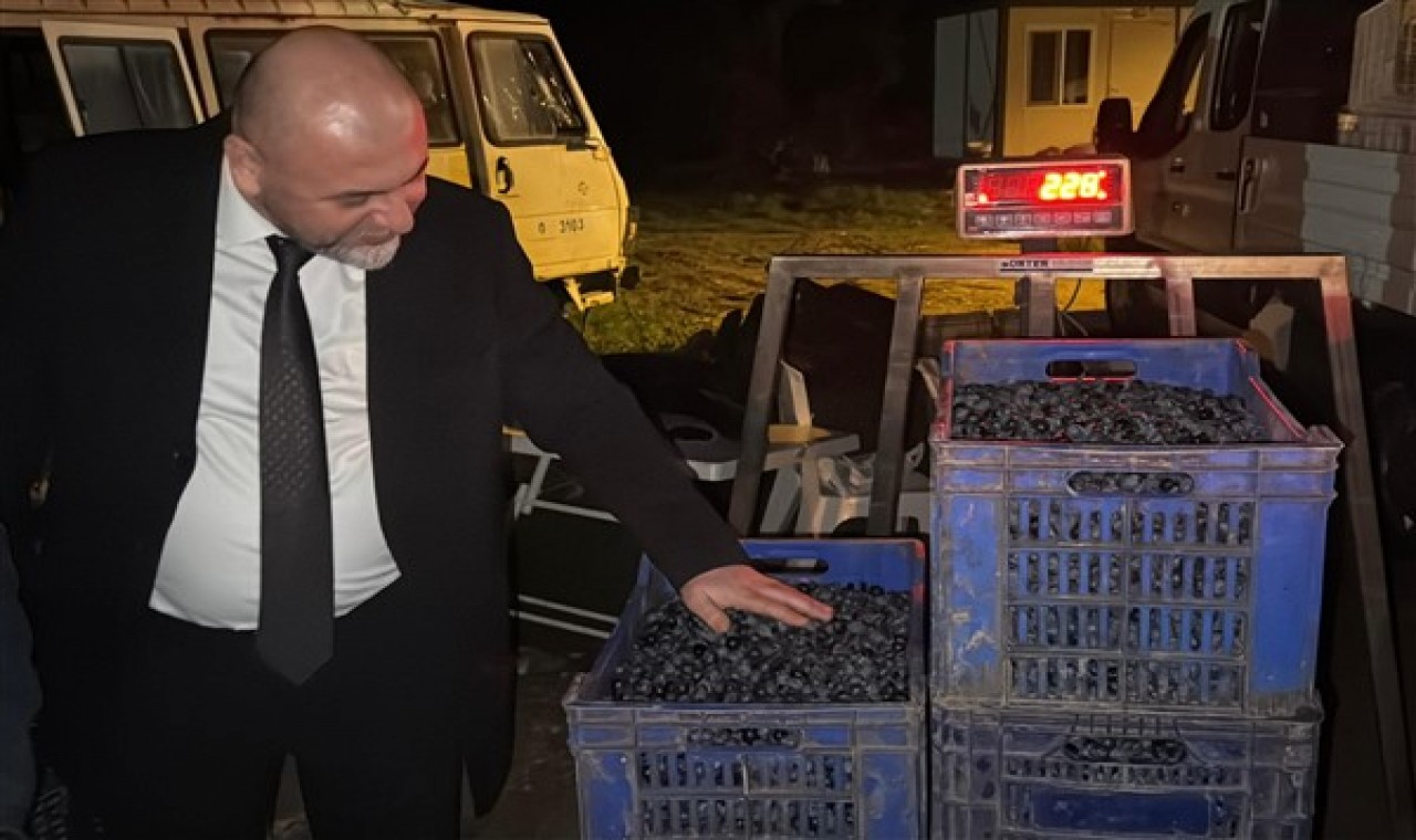 Orhangazi Belediyesi Tarım A.Ş, vatandaşlardan zeytin alımı yapmaya başladı