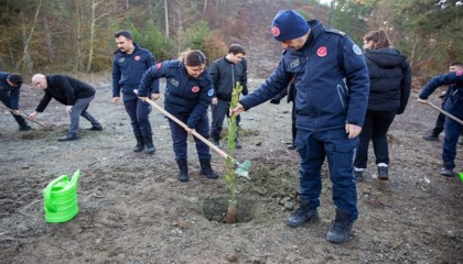 Bursa Büyükşehir Belediyesi’nden şehit itfaiye erleri anısına hatıra ormanı