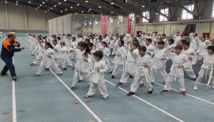 Bursa Osmangazi’de karate eğitim semineri