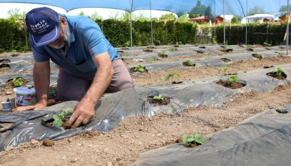 Konya’da başvurular 15 Ocak’ta başlıyor